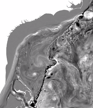 barotropic vorticity