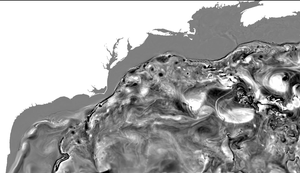 Gulf Stream barotropic vorticity