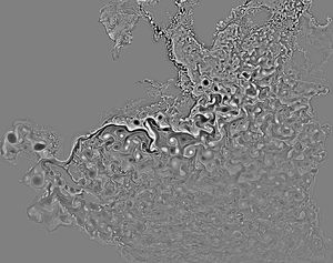 Sea Surface Height