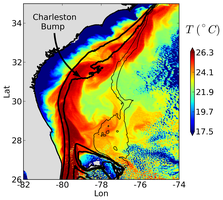 Observed SST along the U.S. Seaboard