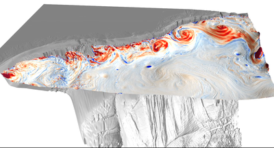 subpolar gyre