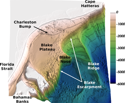 Topography along the Seaboard